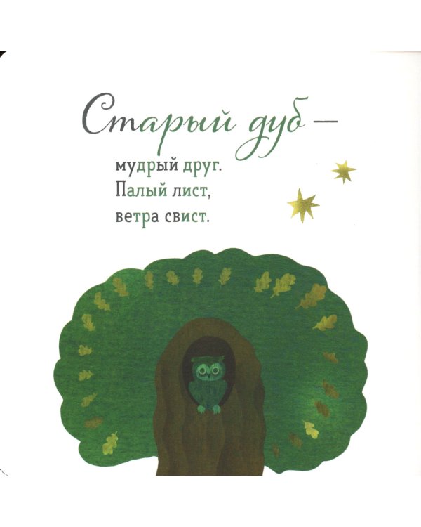Где твой цветок? Где твой гриб? Где твоя малинка? Где твое деревце? (комплект из 4-х книг)