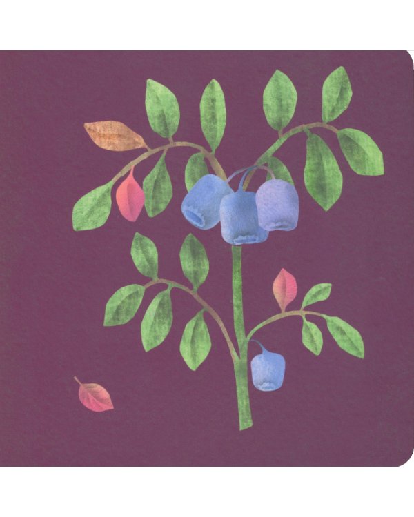 Где твой цветок? Где твой гриб? Где твоя малинка? Где твое деревце? (комплект из 4-х книг)