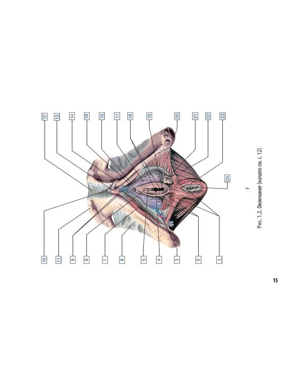Онкоурология. Руководство