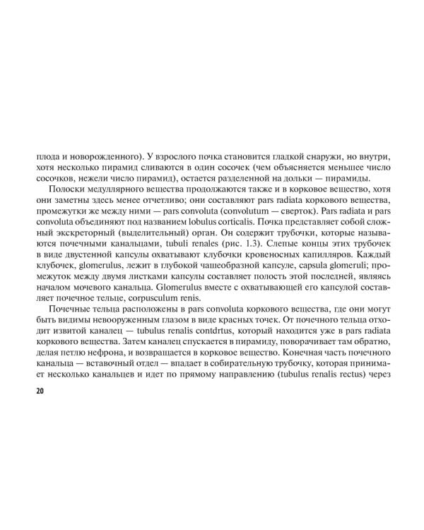 Онкоурология. Руководство