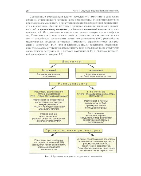 Иммунология: Учебник. 4-е изд., перераб. и доп