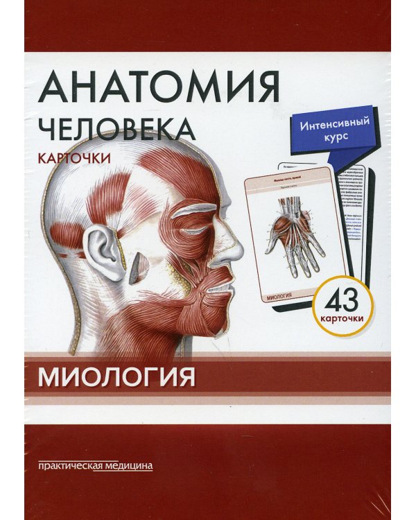Анатомия человека: карточки (43 шт). Миология: Учебное пособие
