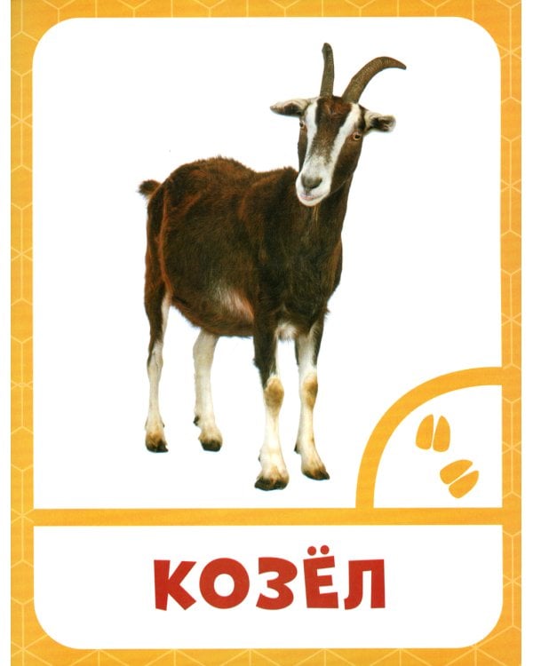 Животные фермы