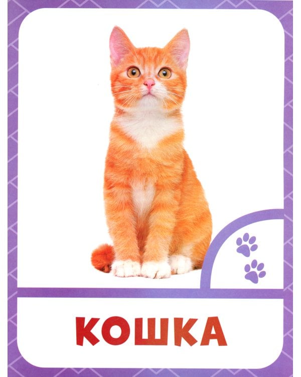 Животные фермы