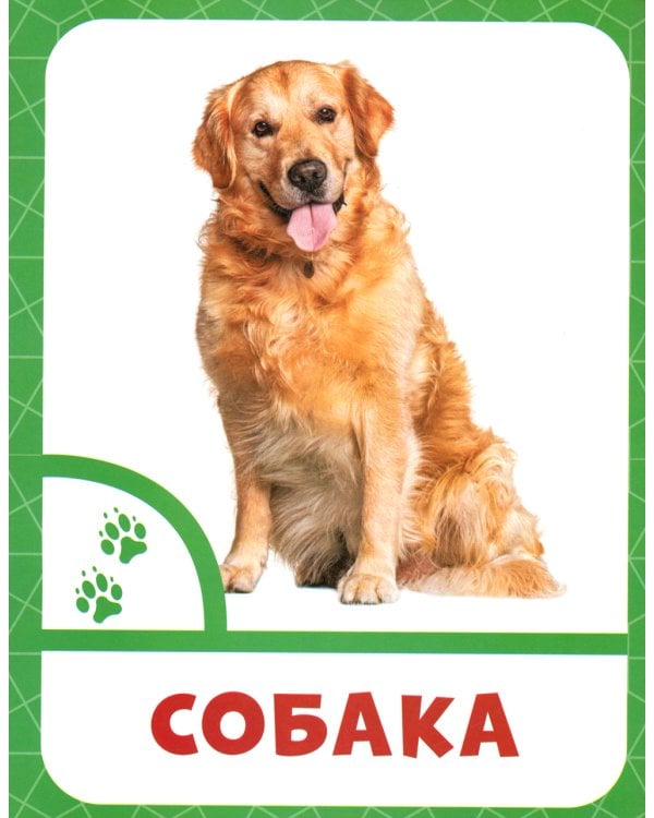 Животные фермы