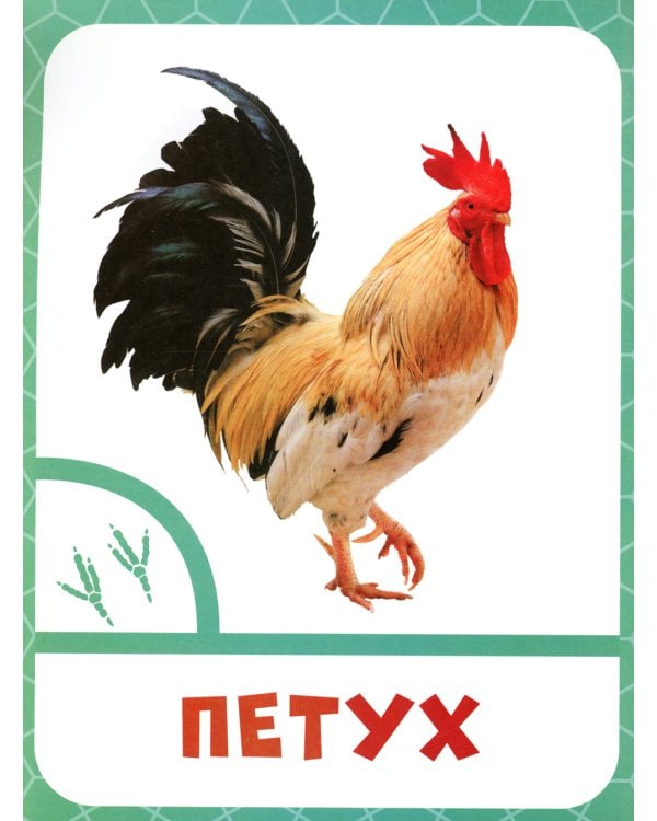 Животные фермы