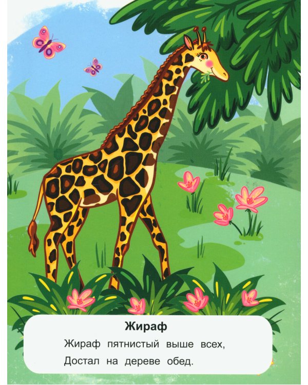 Животные жарких стран: стихи