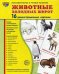 Демонстрационные картинки "Животные холодных широт" (173х220 мм)