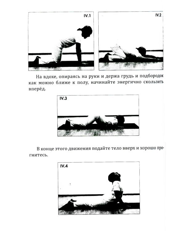 Хатха-йога: теория и практика. Т. 1. Древнеиндийское учение о психофизическом совершенстве. 2-е изд