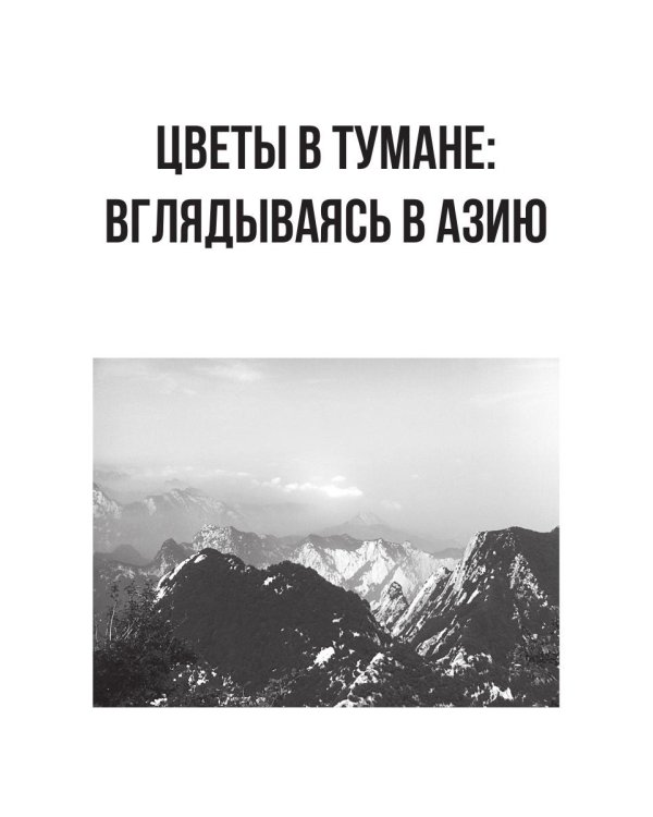 Цветы в тумане. Вглядываясь в Азию