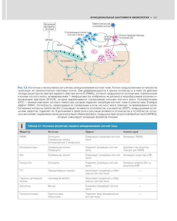 Внутренние болезни по Дэвидсону: В 5 т. Т. 1. Кардиология. Пульмонология. Ревматология и забол-я опорно-двигат-го аппарата. Нефрология и урология. 2-е