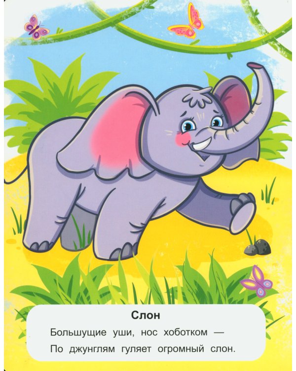 Животные жарких стран: стихи