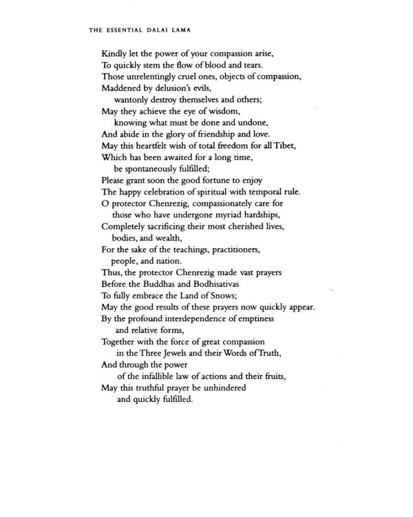 The Essential Dalai Lama: His Important Teachings