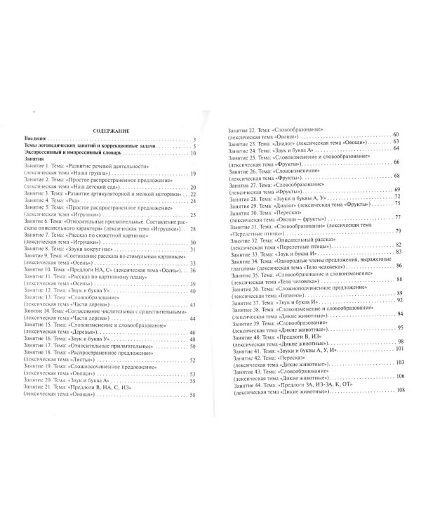 Конспекты логопедических занятий в детском саду для детей 5–6 лет с ОНР