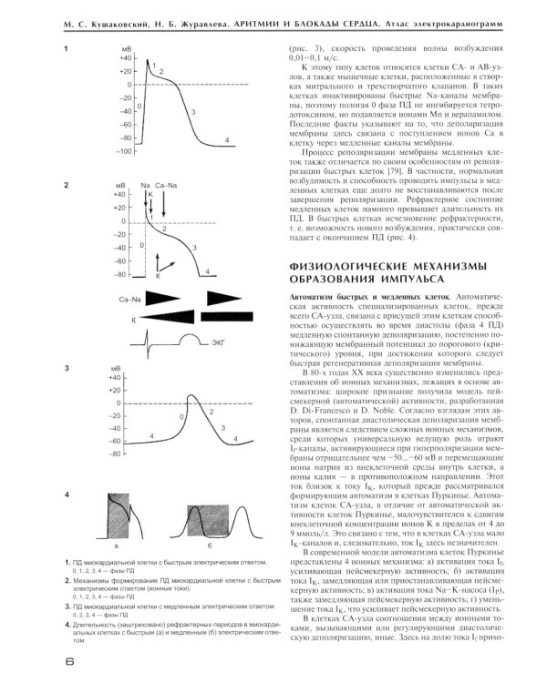 Аритмии и блокады сердца: атлас электрокардиограмм. 5-е изд., перераб. и доп