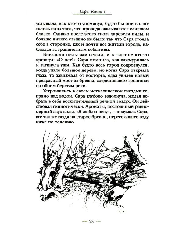 Сара. Кн 1. Пернатые друзья - это навсегда. Новый уровень воплощения желаний