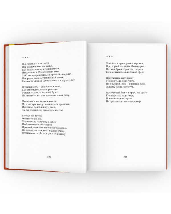 Тетрадь в клетку: книга стихотворений