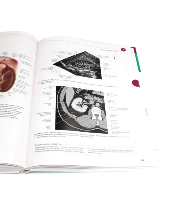 Sobotta. Атлас анатомии человека. В 3 т (комплект из 3-х книг)