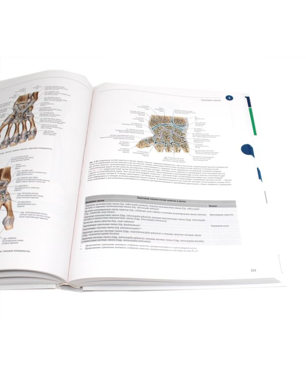 Sobotta. Атлас анатомии человека. В 3 т (комплект из 3-х книг)