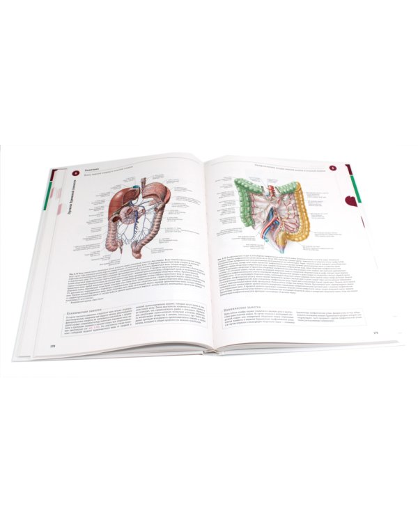 Sobotta. Атлас анатомии человека. В 3 т (комплект из 3-х книг)