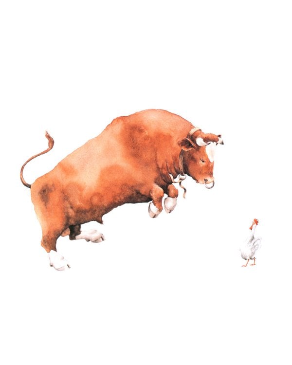 Как Адам Энгельбрект разбушевался