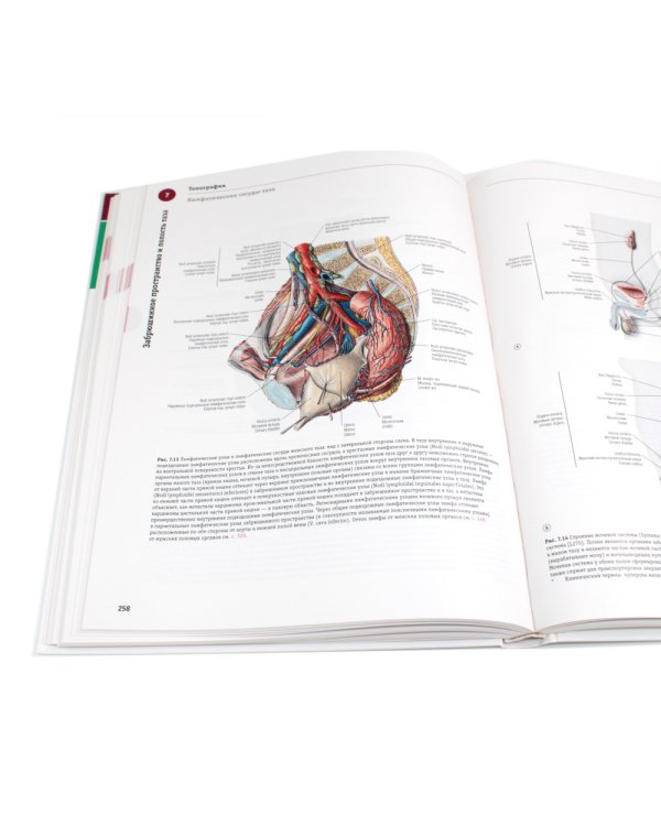 Sobotta. Атлас анатомии человека. В 3 т (комплект из 3-х книг)