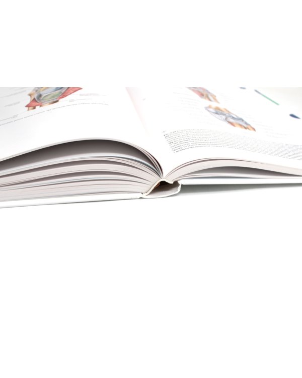 Sobotta. Атлас анатомии человека. В 3 т (комплект из 3-х книг)