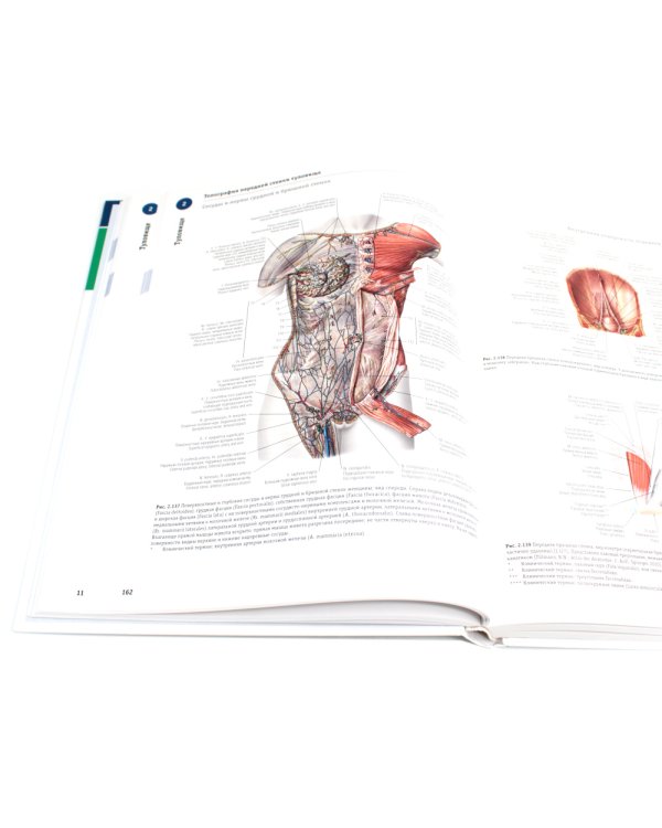 Sobotta. Атлас анатомии человека. В 3 т (комплект из 3-х книг)