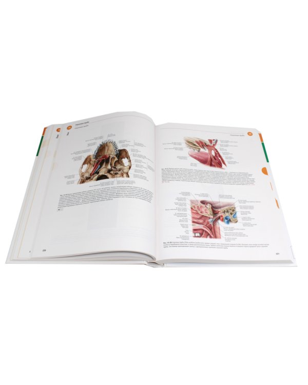 Sobotta. Атлас анатомии человека. В 3 т (комплект из 3-х книг)