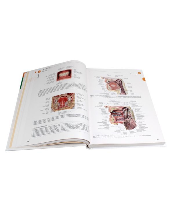 Sobotta. Атлас анатомии человека. В 3 т (комплект из 3-х книг)