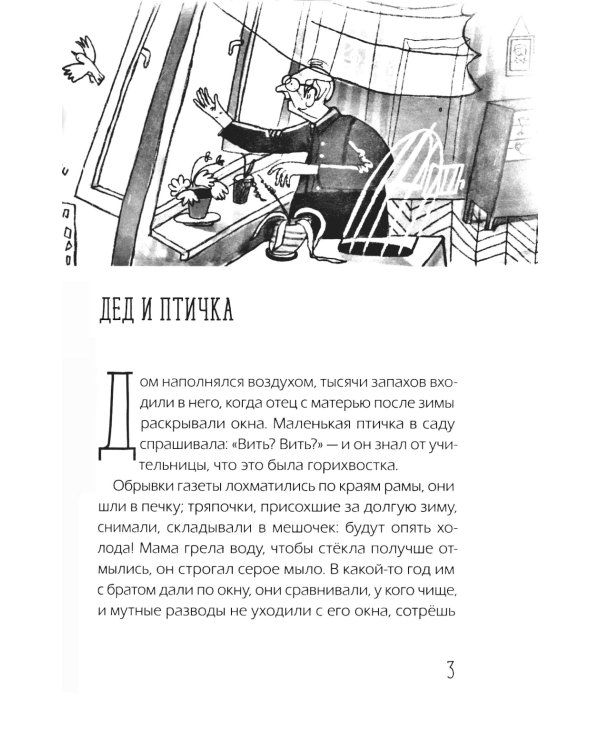 Наблюдатели