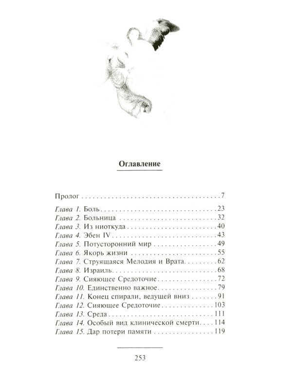 Доказательство Рая. Реальный опыт нейрохирурга