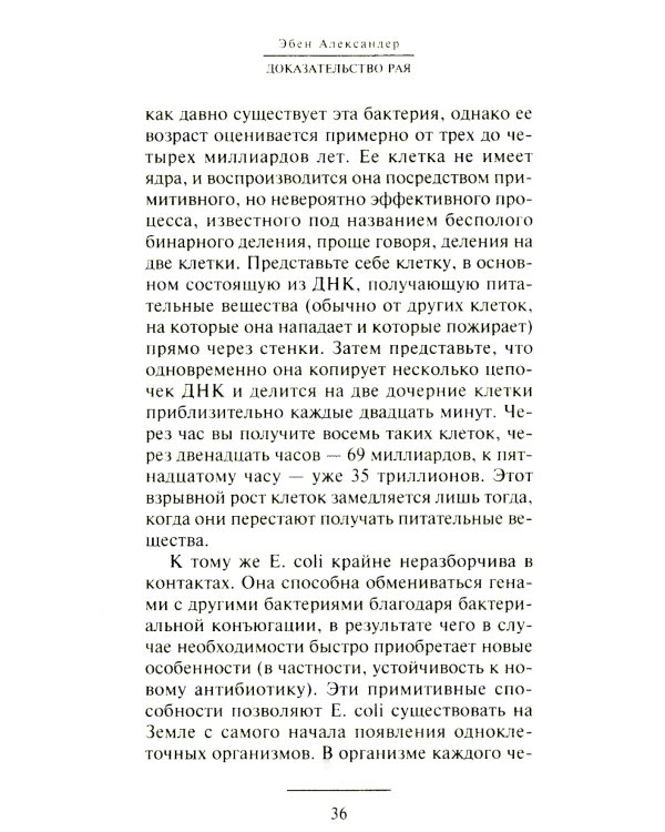 Доказательство Рая. Реальный опыт нейрохирурга