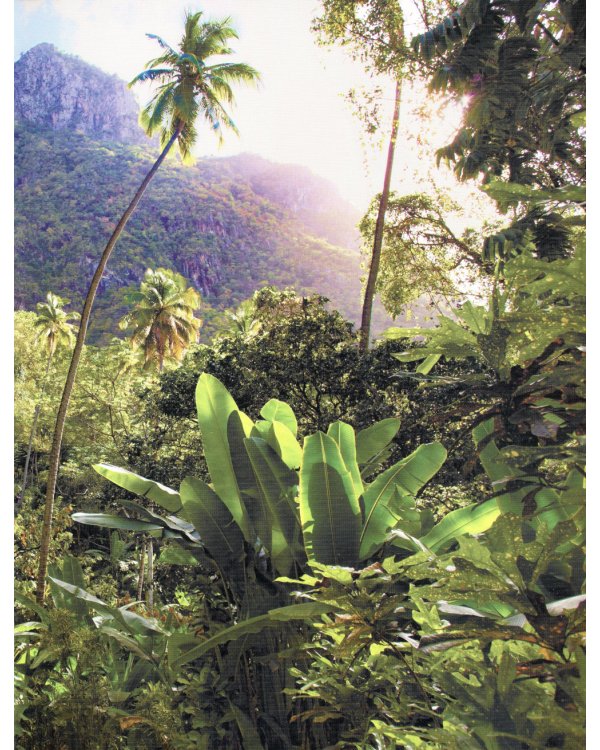 Кто в джунглях живет? Энциклопедия для детей