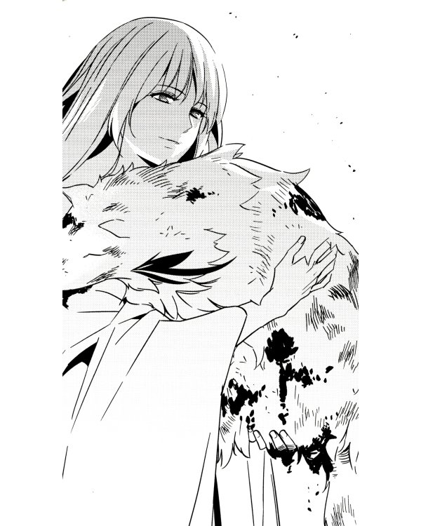 Fate/strange Fake. Судьба/Странная подделка. Т. 1