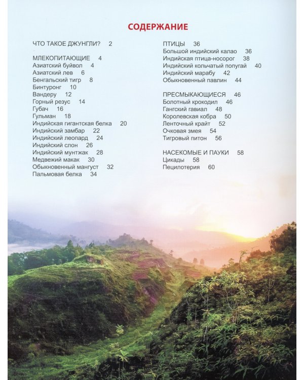Кто в джунглях живет? Энциклопедия для детей