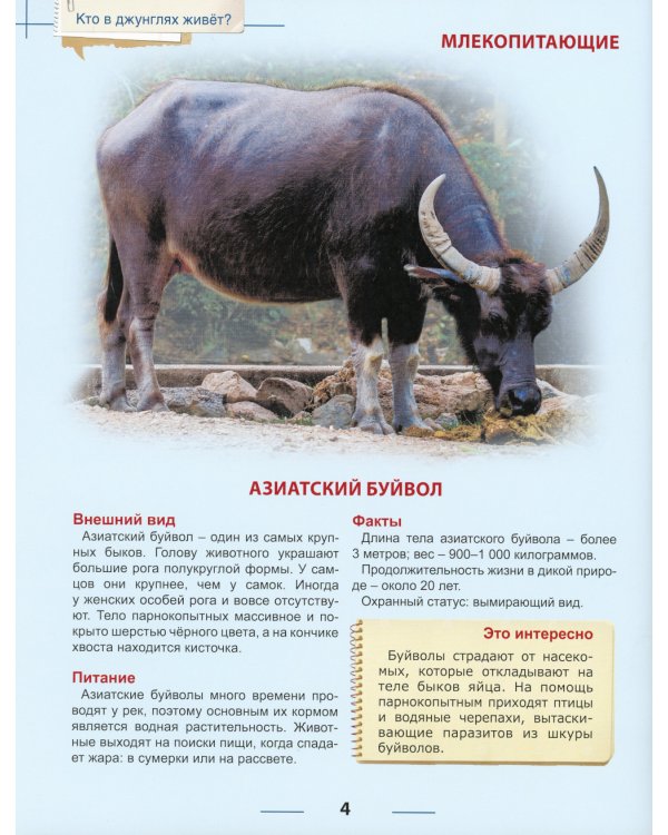 Кто в джунглях живет? Энциклопедия для детей