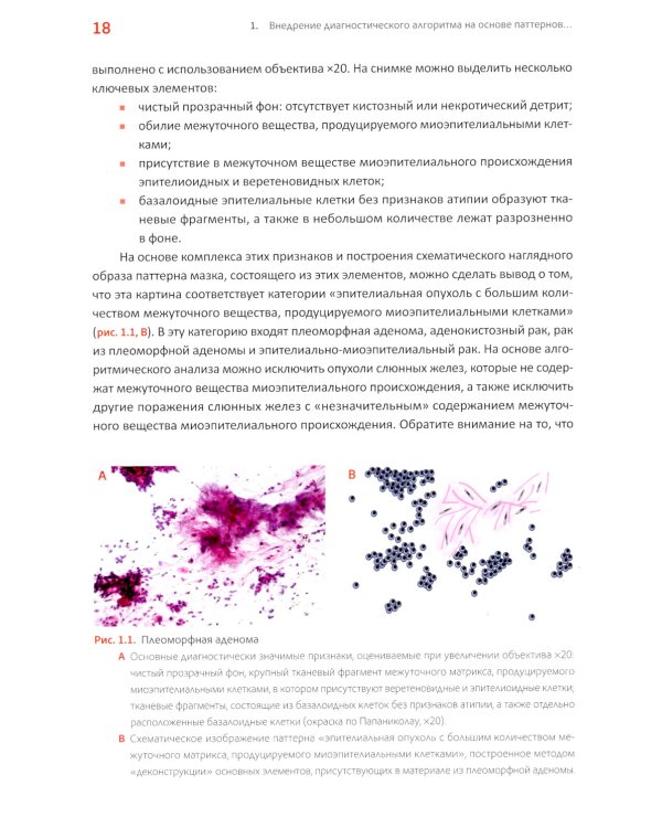 Практическая цитопатология. Интерпретация результатов ТИАБ на основе распознавания паттернов. В 2 т. Т. 1
