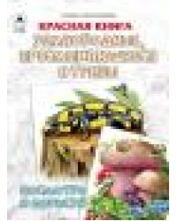 Красная книга.Земноводные, пресмыкающиеся и грибы.Посмотри и дорисуй