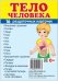 Дем. картинки СУПЕР Тело человека. 16 раздаточных карточек с текстом на обороте учебно-методическое пособие с комплектом демонстрационного материала 63х87 мм, познавательное и речевое развитие