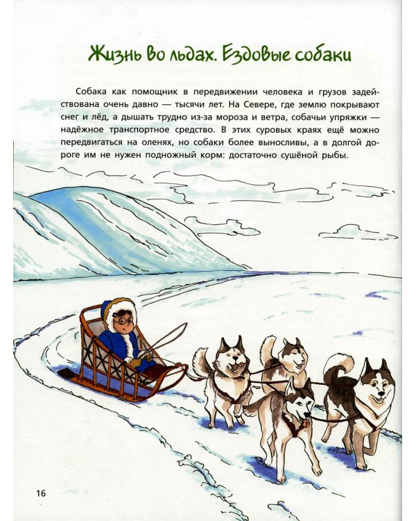 Собака рядом. Мини-энциклопедия о собачьей службе и дружбе