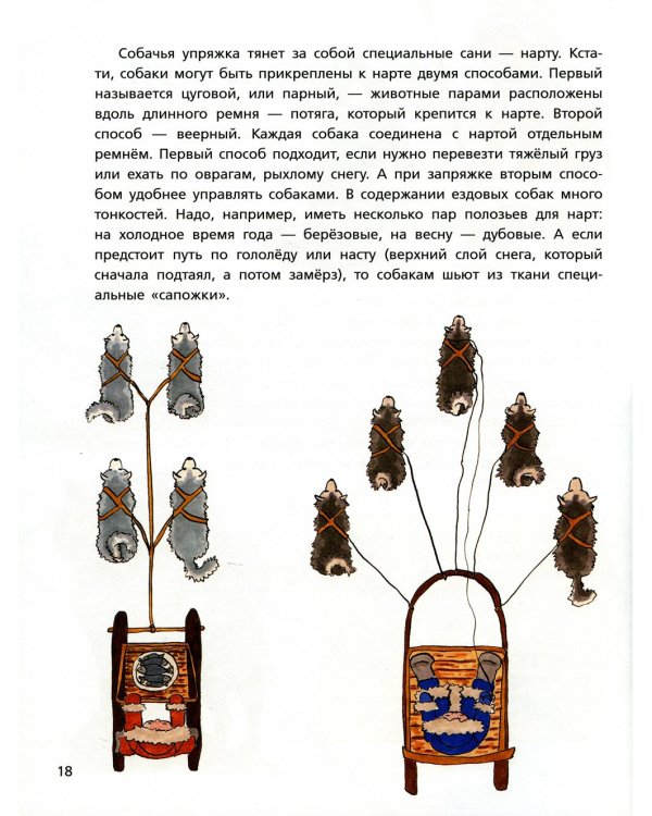 Собака рядом. Мини-энциклопедия о собачьей службе и дружбе