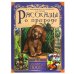 Рассказы о природе. Золотые сказки. 197х255 мм. 64 стр., тв. переплет. Умка в кор.12шт