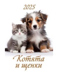 Котята и щенки