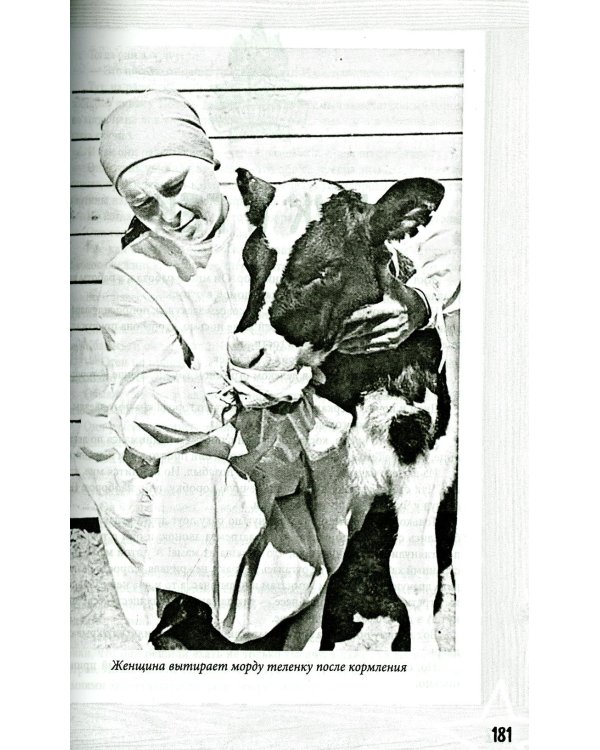 Тимур и его команда. Все произведения для детей