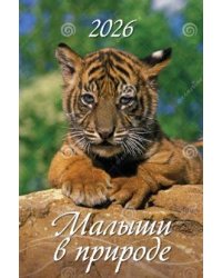 Малыши в природе