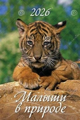 Малыши в природе