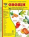 Дем. картинки СУПЕР Овощи. 16 демонстрационных картинок с текстом на обороте учебно-методическое пособие с комплектом демонстрационного материала 173х220 мм, познавательное и речевое развитие