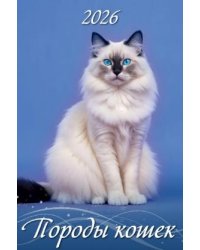 Породы кошек