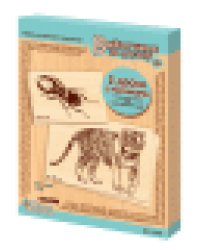 Выжигание. Доски для выжигания 4 шт Жук-оленьТигр А4+А5